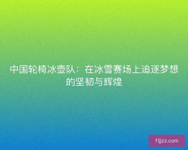 中国轮椅冰壶队：在冰雪赛场上追逐梦想的坚韧与辉煌
