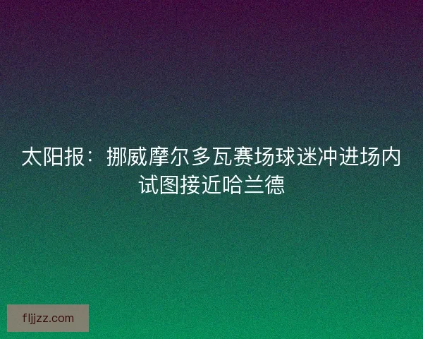 太阳报：挪威摩尔多瓦赛场球迷冲进场内试图接近哈兰德