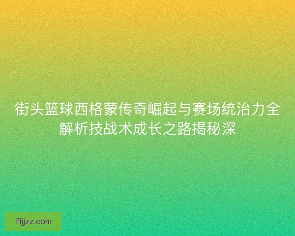 街头篮球西格蒙传奇崛起与赛场统治力全解析技战术成长之路揭秘深 街头篮球西格蒙传奇崛起与赛场统治力全解析技战术成长之路揭秘深